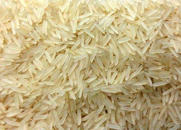 Rehmangreenfoods – Regmangreenfoods